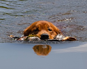 20130714-MHB2-0099.jpg