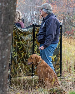 Marsha Wilcox's Pete