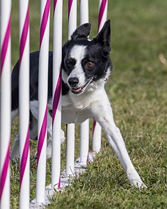 20230916-PVKC-1464.jpg