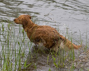 20080531-HRW-0204.jpg