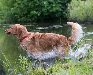20130714-JHW-0005.jpg