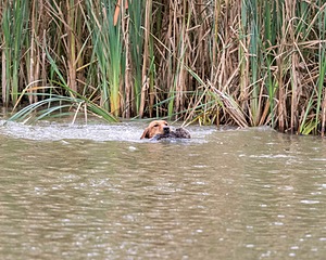 20150913-SEAW-0635.jpg
