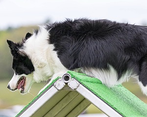 20160515-NEAT-0366.jpg