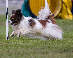 20230917-PVKC-3069.jpg