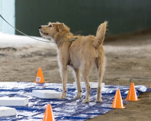 20260718-NSKC-0136.jpg