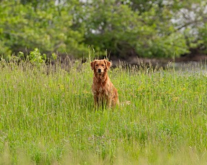 20080531-HRL-0033.jpg