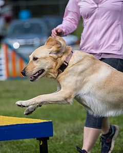 20230916-PVKC-0690.jpg