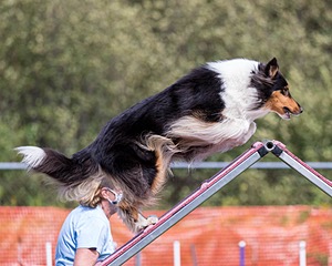 20200819-2310.jpg