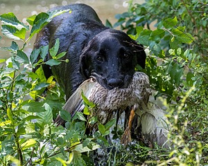 20170716-WCXW-1187.jpg