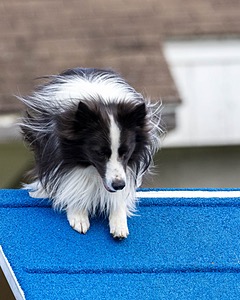 20230917-PVKC-2775.jpg