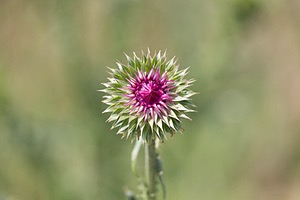 20200617-0862.jpg