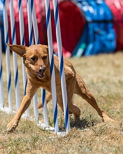 20160618-CCKC-1565.jpg