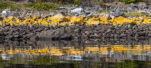 20260327-0146.jpg