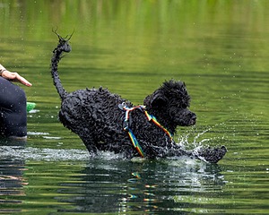 Scarlett Freeman