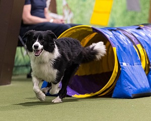 20260222-1187.jpg