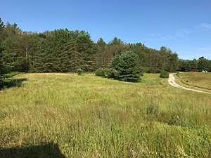 20170806-C-0002.jpg