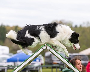 20160515-NEAT-0376.jpg