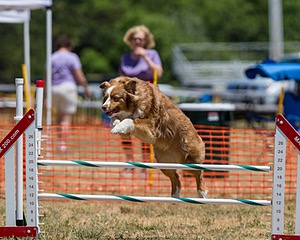 20160619-CCKC-1040.jpg