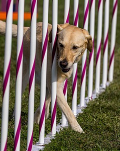 20230916-PVKC-1459.jpg