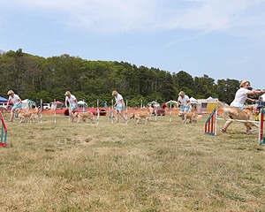 20150612-CCKCMC-0103.jpg