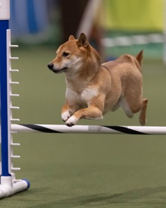 20260221-0054.jpg