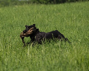 20160604-SEAL-0009.jpg