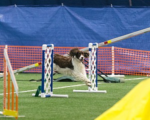20150322-LEAP-0298.jpg