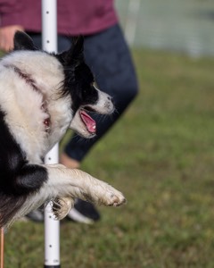 20230917-PVKC-2049.jpg