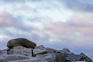 20260319-0199.jpg
