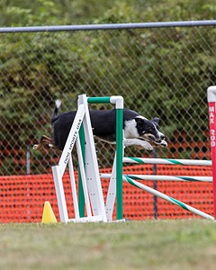 20200819-1471.jpg