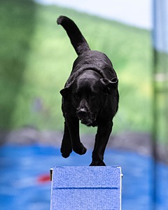 20260221-0906.jpg