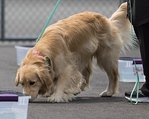 20260718-NSKC-0290.jpg