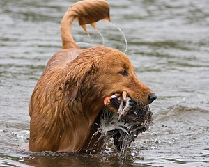 20080531-HRW-0742.jpg