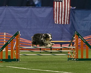 20150321-LEAP-1441.jpg
