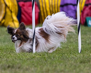 20230917-PVKC-3067.jpg