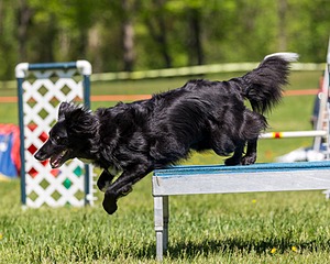 20170520-NEAT-0923.jpg