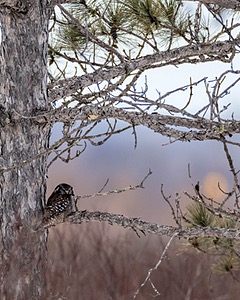20230203-9991.jpg