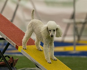 20150321-LEAP-1556.jpg