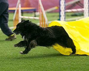 20150322-LEAP-0362.jpg