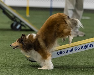 Relay Spooner