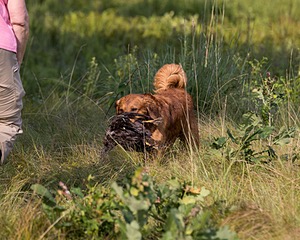 20210807-SHL-0043.jpg