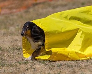 20160619-CCKC-1219.jpg