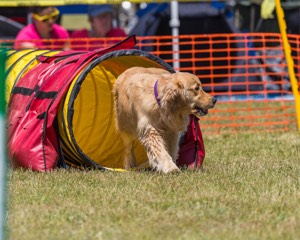 20190615-CCKC-1060.jpg