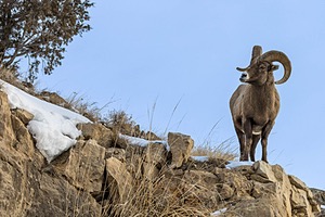 20220130-0026.jpg