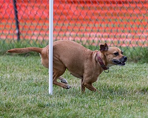 20200819-2843.jpg