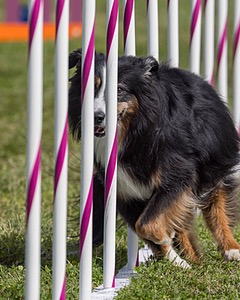 20230916-PVKC-1127.jpg