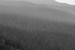 Glacier National Park