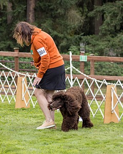 2304 - GCH CH BREKKON'S FIRST MARK BN RN CGC TKN