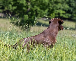 20210606-SEAL-0470.jpg