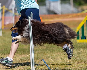 20180617-1400.jpg